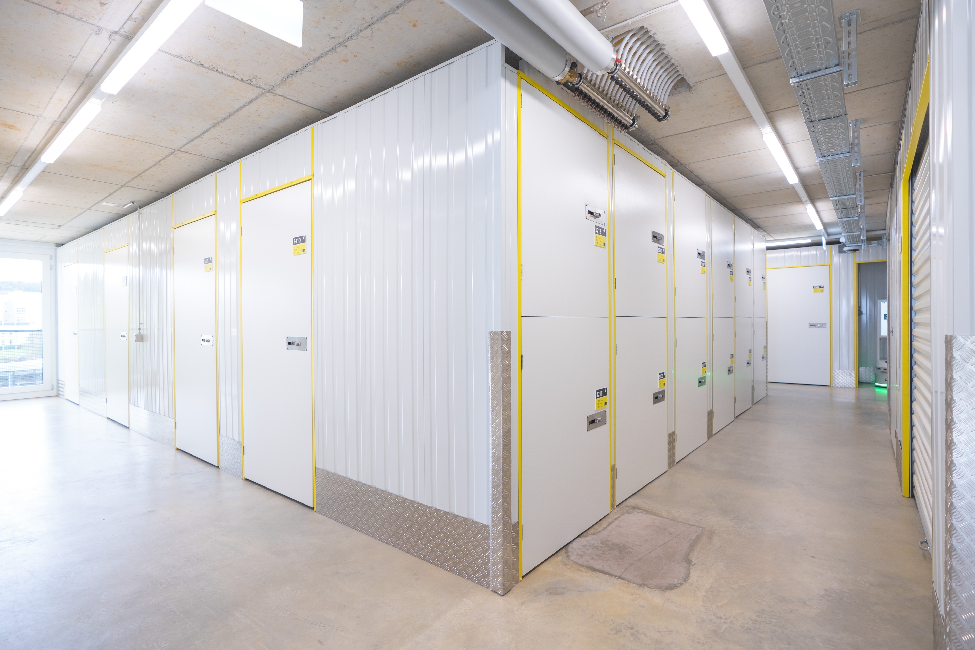 Das Neueste aus der Zebrabox