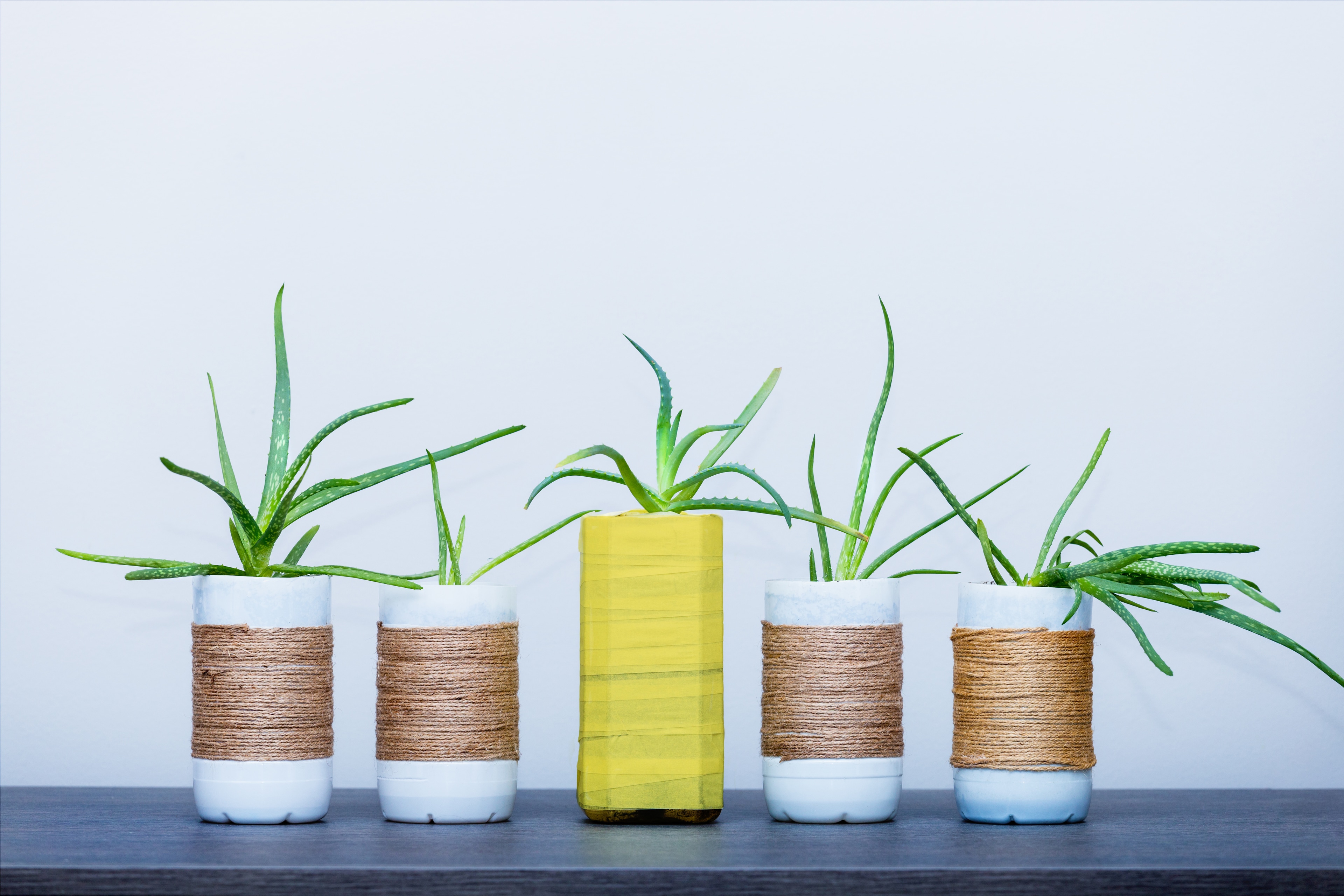 Upcycling – aus alt mach neu