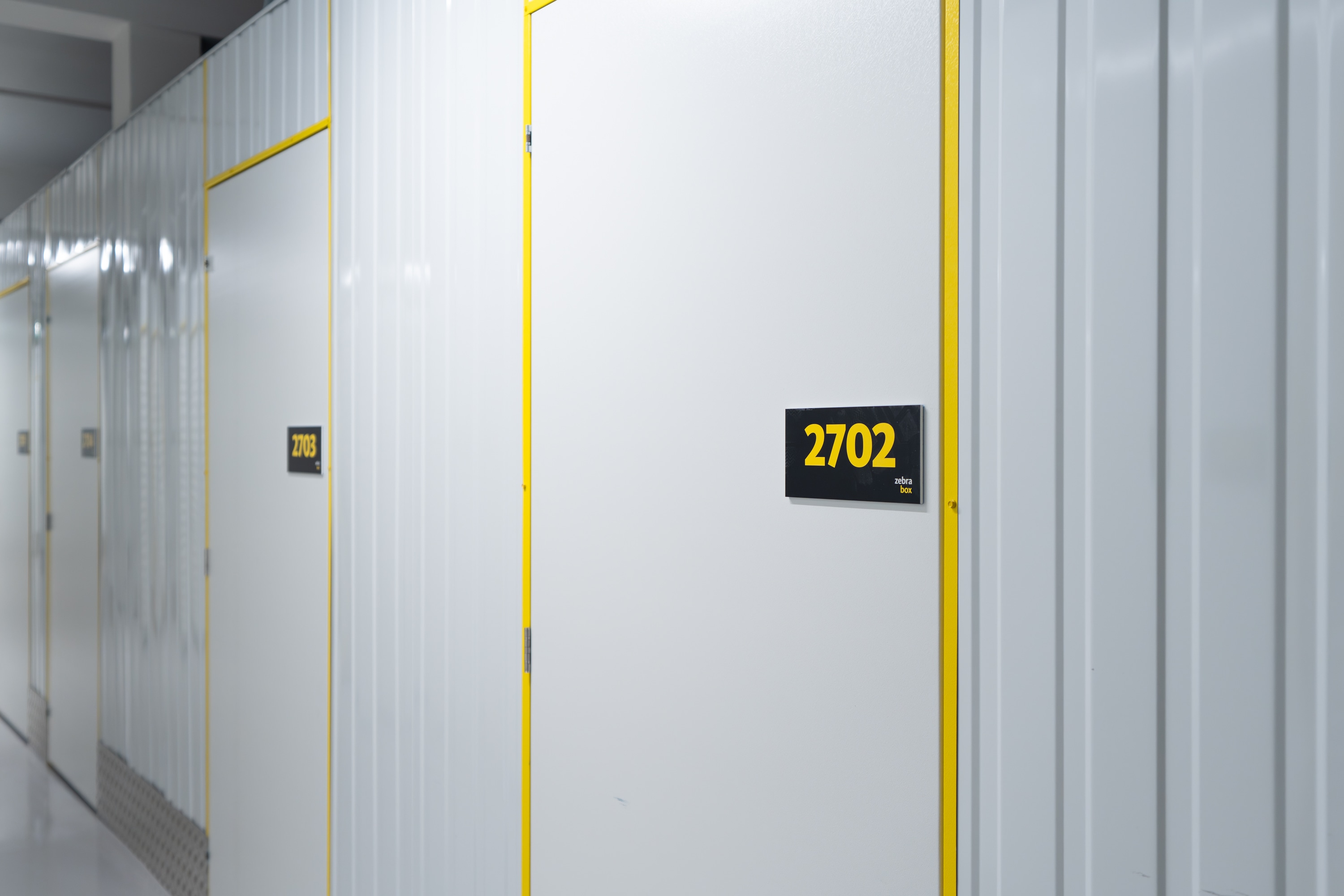 Schimmel im Keller – Ursachen, Folgen und Lösungen