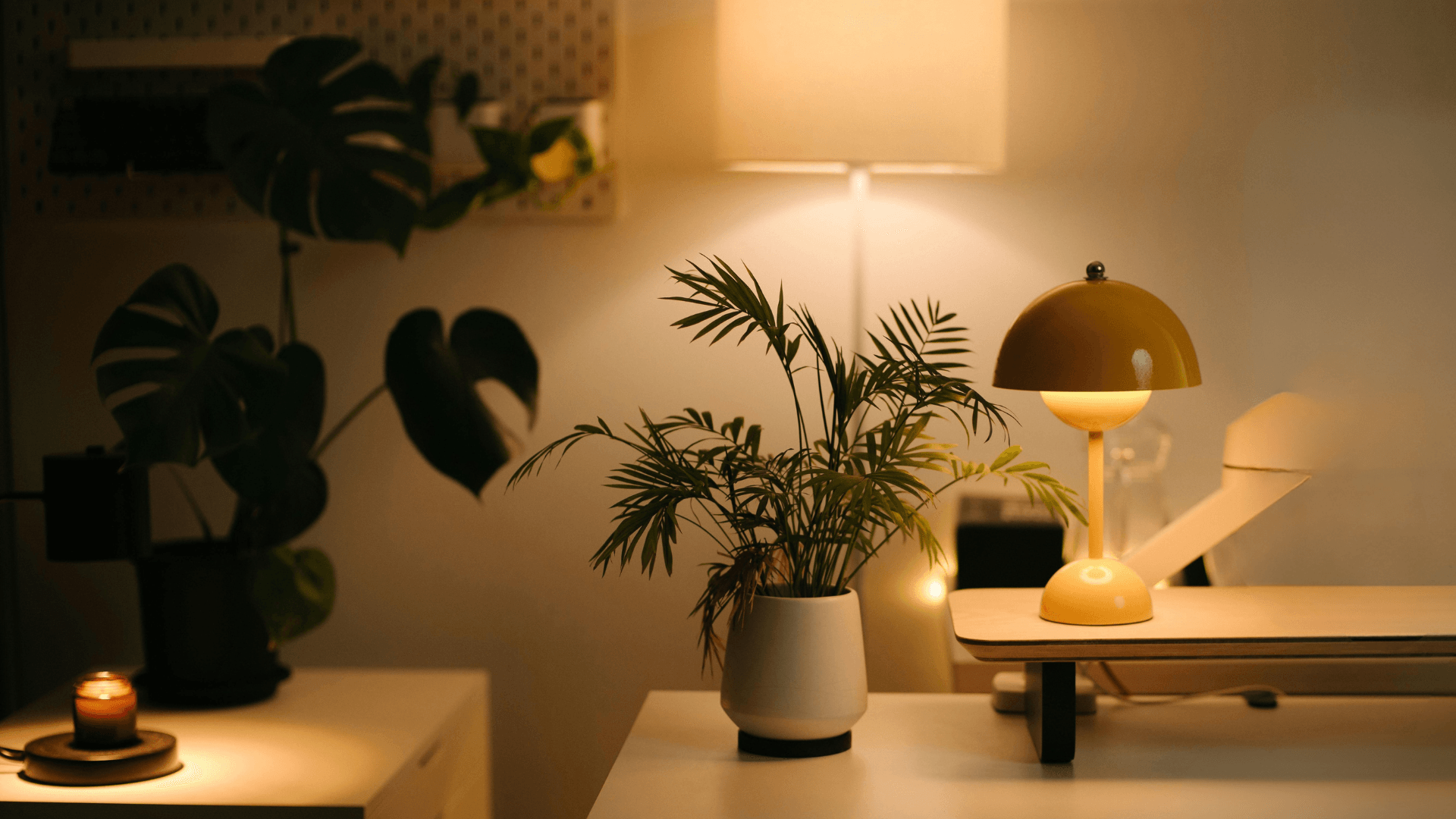 Various floor lamps create a cosy atmosphere with plants.