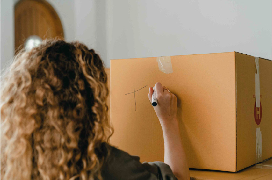 Ideale Lagerung in deinem Stauraum | zebrabox.ch